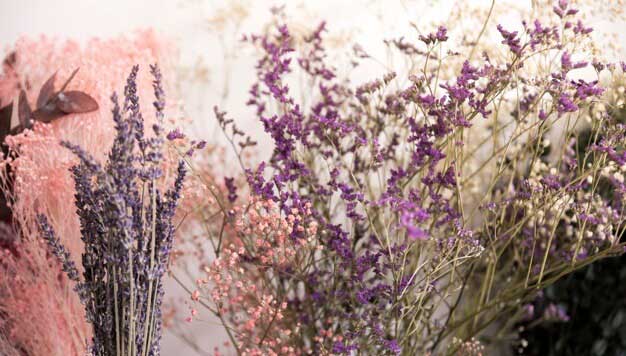 Photo of Lavender Flowers