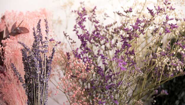 Lavender Flowers