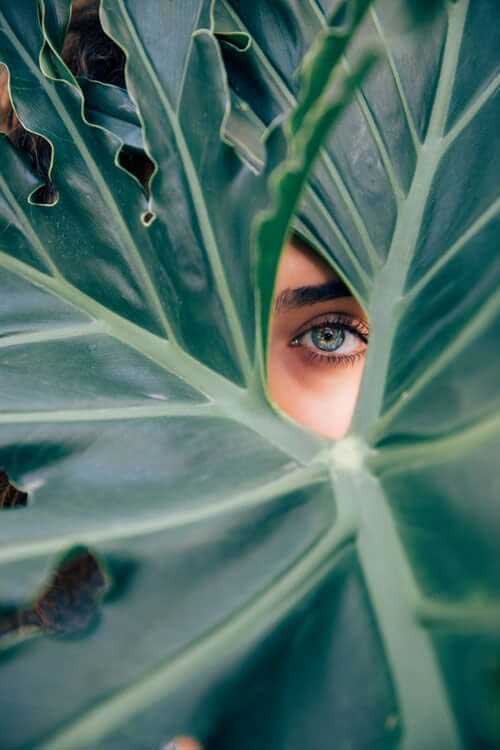 Woman looking through green leaves
